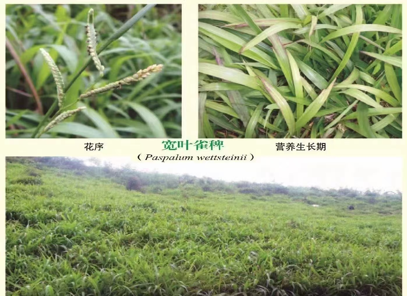 文章附图